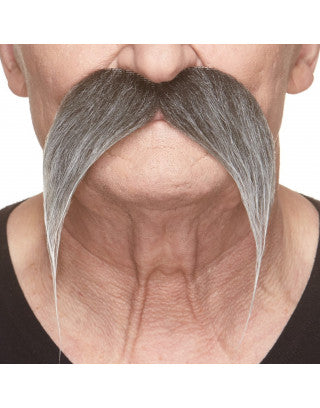 Bigotes grises