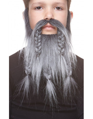 Bigotes pequeños con barbas grises